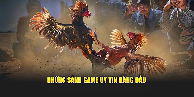 Các sảnh game có uy tín cao và chất lượng vượt trội