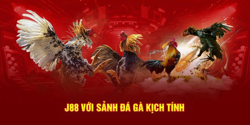 Sảnh đá gà đầy kịch tính